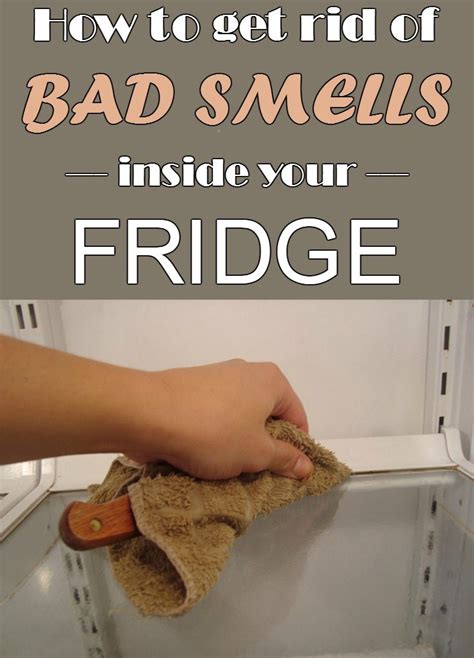 metal smell in house freezer|How to Get Rid of Funky Refrigerator Smells .